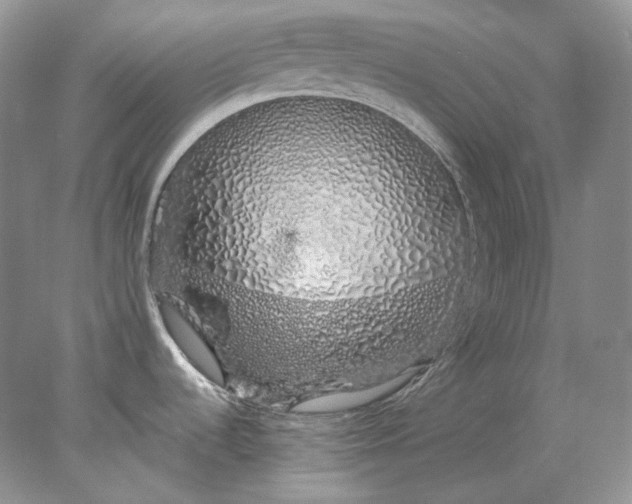 X0000078261536200611171952