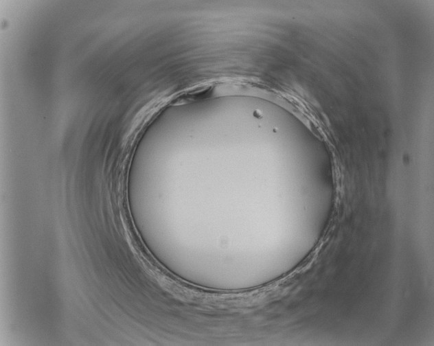 X0000078260001200611251340