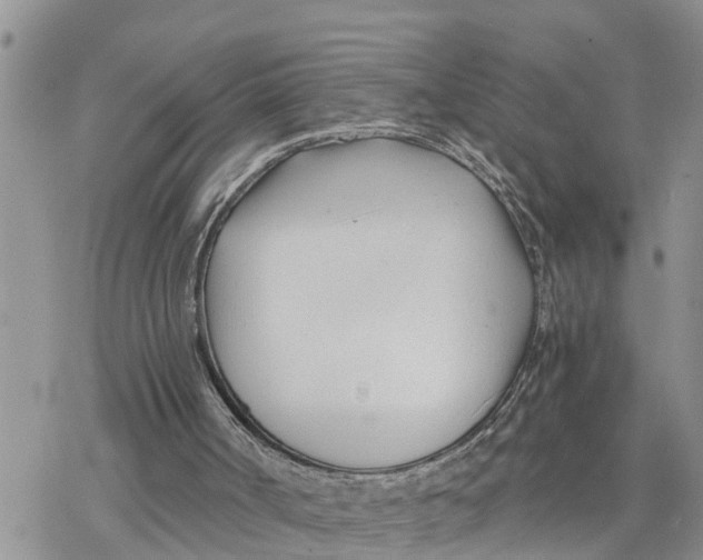 X0000078260002200611251340