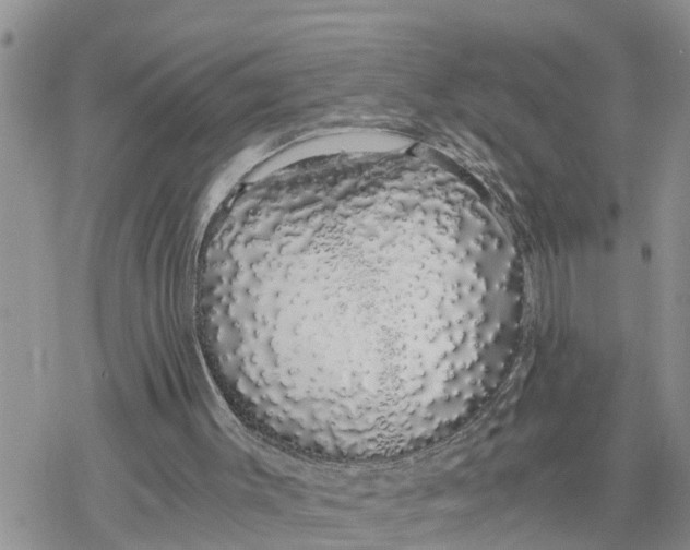 X0000078260003200611251340