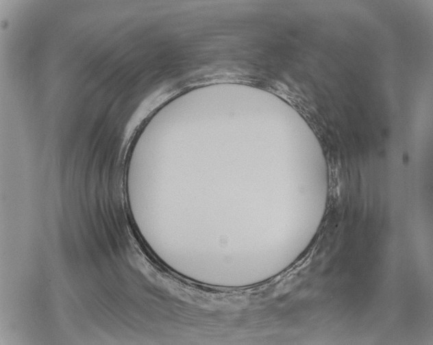 X0000078260004200611251340