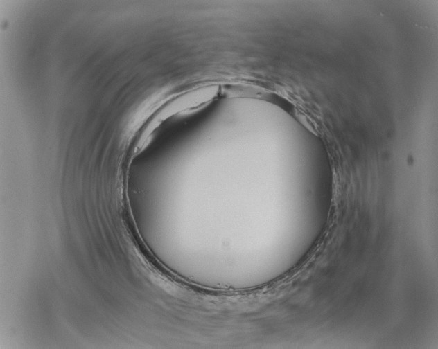 X0000078260005200611251340