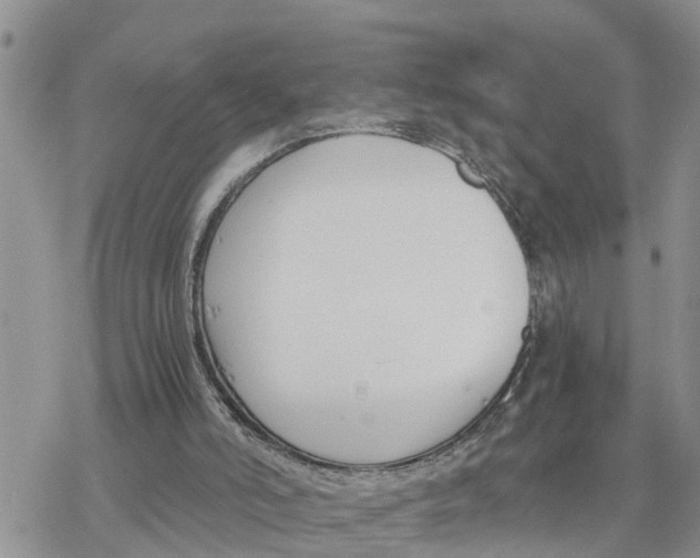 X0000078260006200611251340