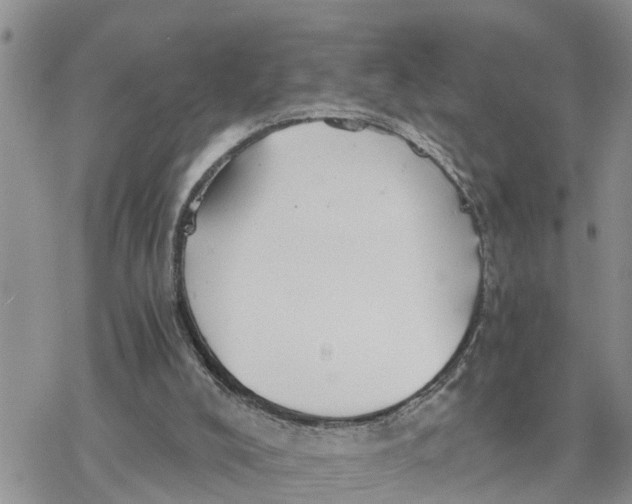 X0000078260008200611251340