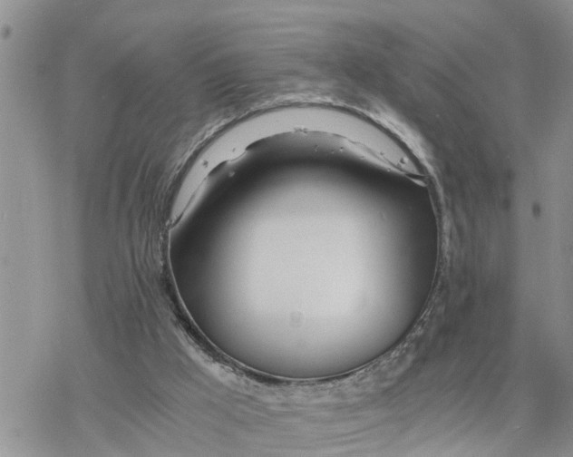 X0000078260009200611251340