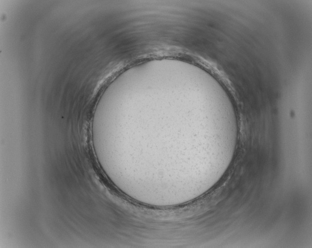 X0000078260010200611251340