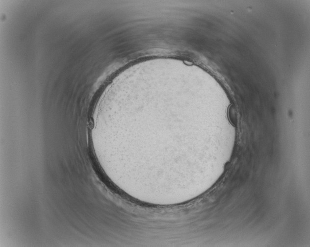 X0000078260011200611251340