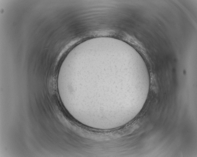 X0000078260012200611251340