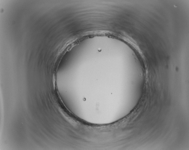 X0000078260013200611251340