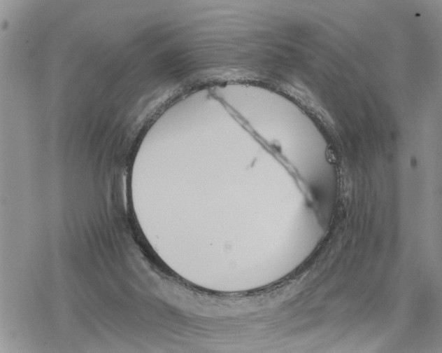 X0000078260014200611251340