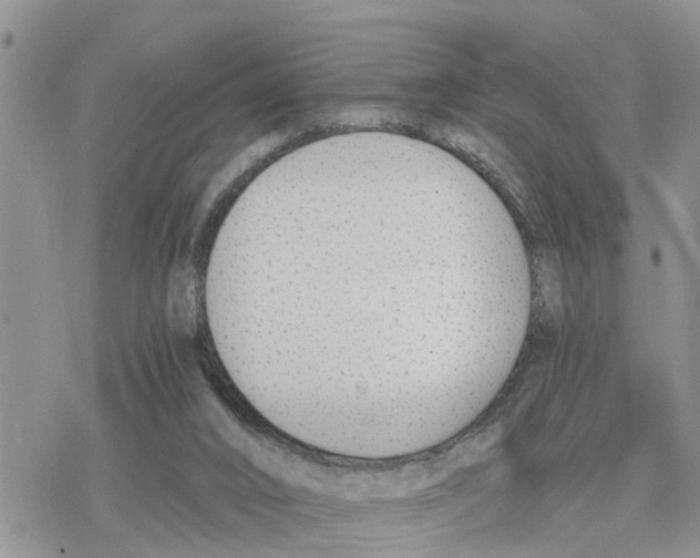 X0000078260016200611251340