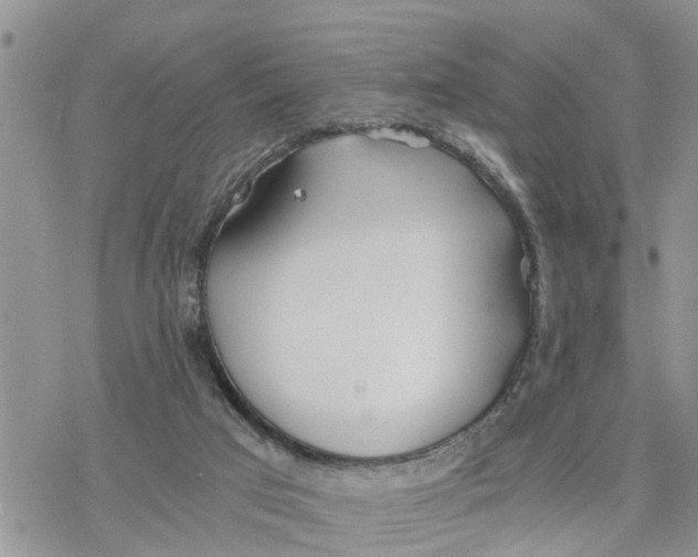 X0000078260017200611251340