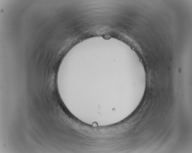 X0000078260018200611251340