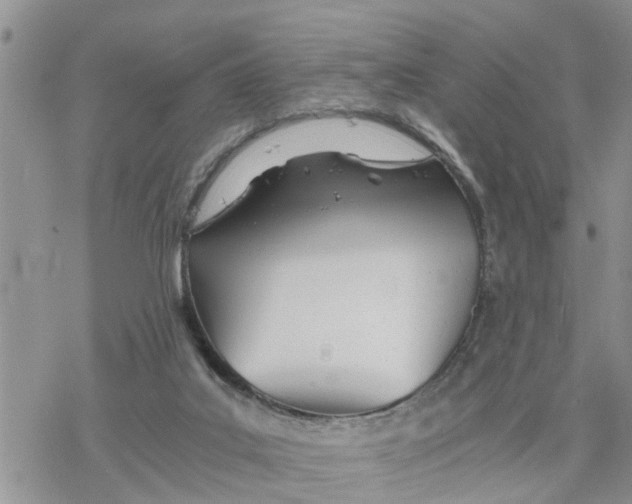 X0000078260019200611251340