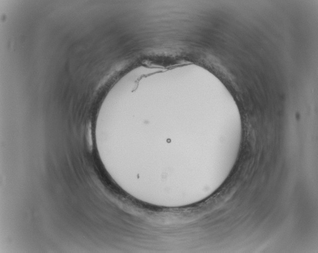 X0000078260020200611251340