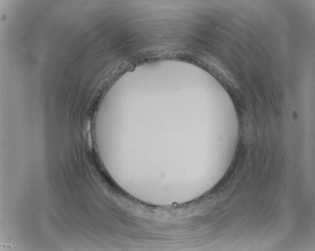 X0000078260022200611251340