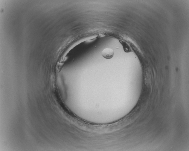 X0000078260023200611251340