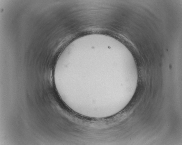 X0000078260024200611251340