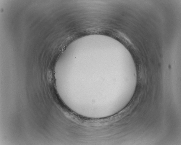 X0000078260025200611251340