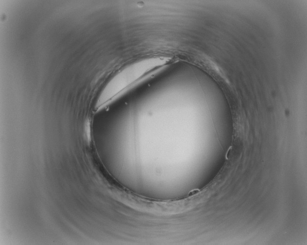 X0000078260027200611251340