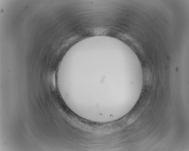 X0000078260028200611251340