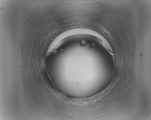 X0000078260029200611251340