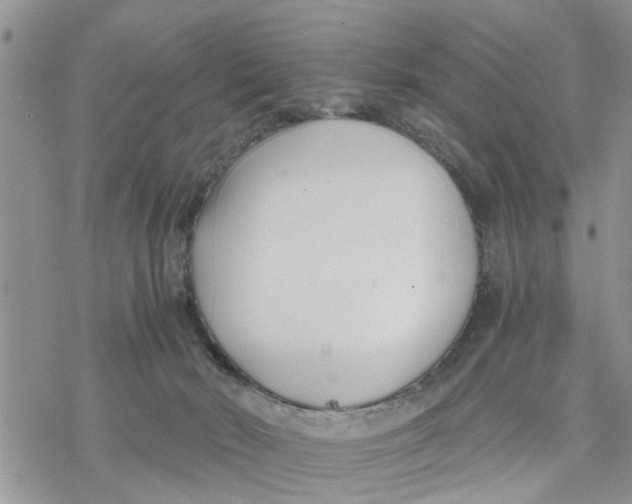 X0000078260030200611251339