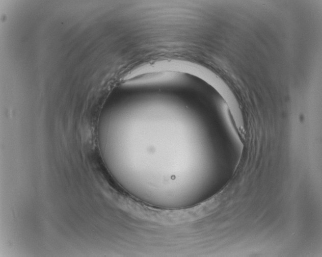 X0000078260031200611251339