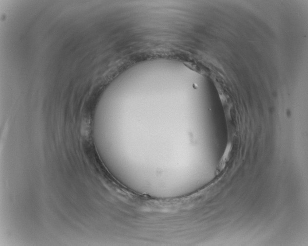 X0000078260033200611251339