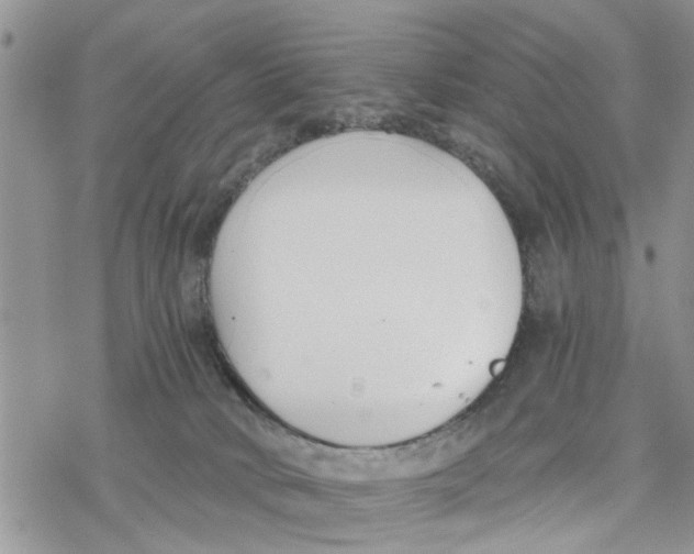 X0000078260034200611251339