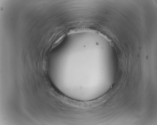 X0000078260035200611251339