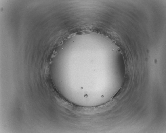 X0000078260037200611251339