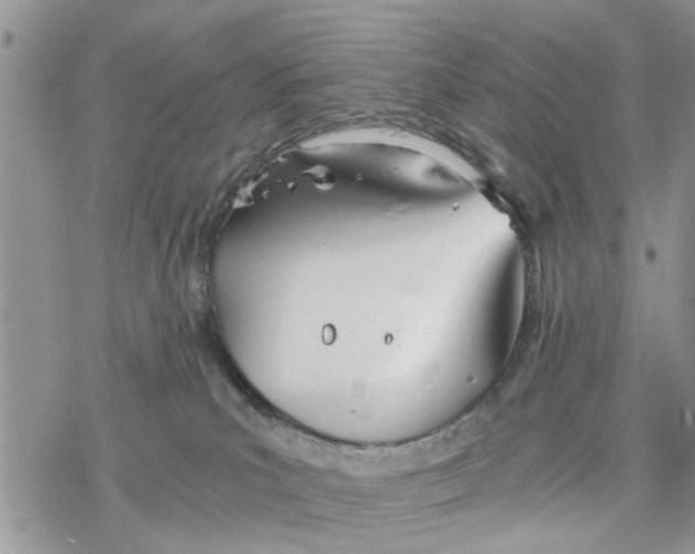 X0000078260039200611251339