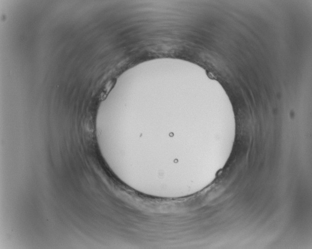 X0000078260040200611251339