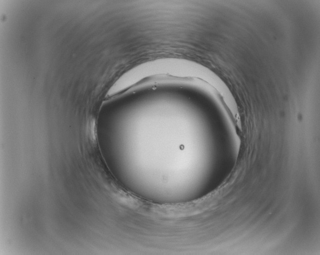 X0000078260041200611251339