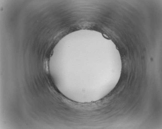 X0000078260042200611251339