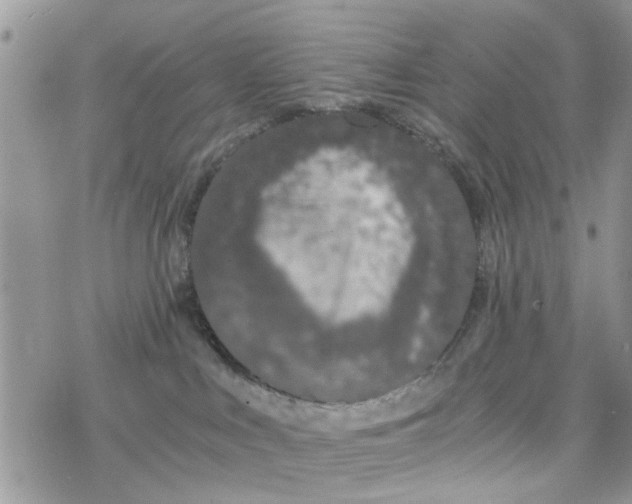 X0000078260043200611251339