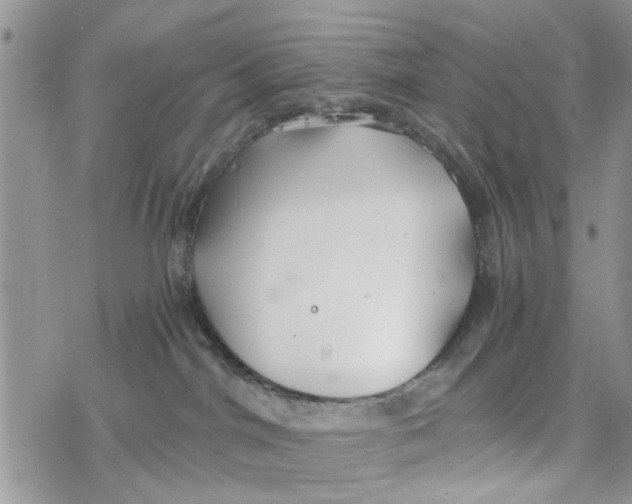 X0000078260044200611251339