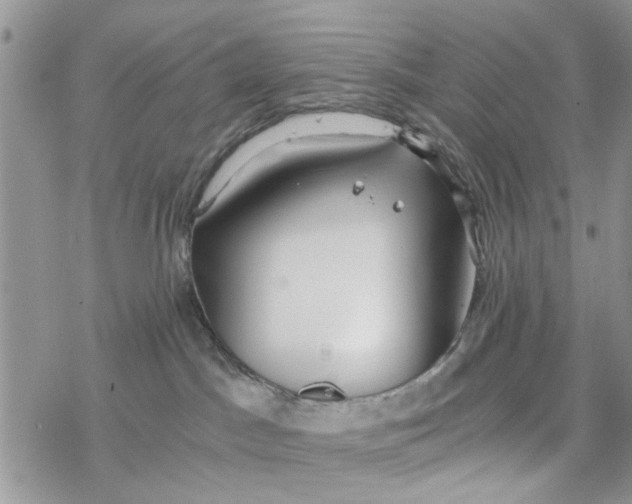 X0000078260045200611251339