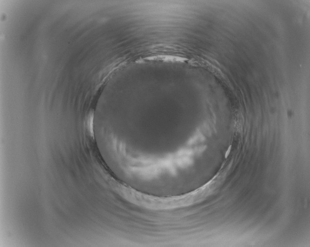 X0000078260047200611251339