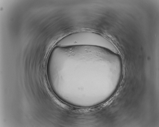 X0000078260049200611251338