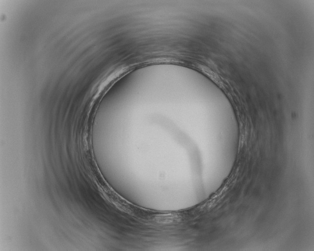 X0000078260050200611251338