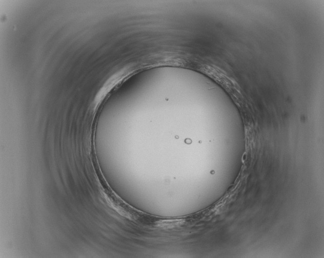 X0000078260051200611251338