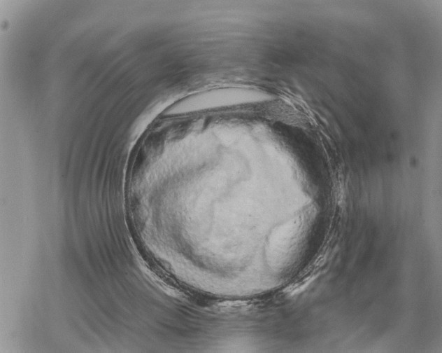 X0000078260052200611251338