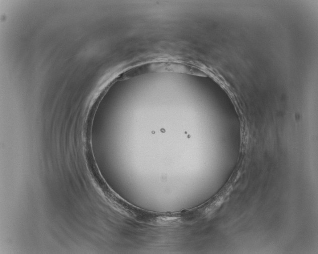 X0000078260055200611251339