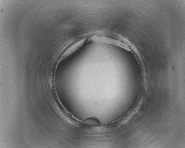 X0000078260057200611251339