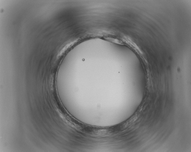 X0000078260058200611251339