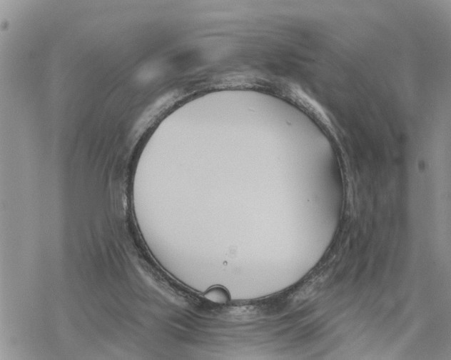 X0000078260059200611251339