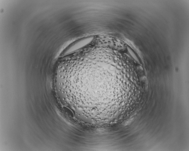 X0000078260060200611251339