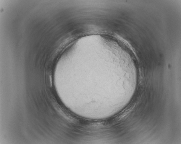 X0000078260061200611251339